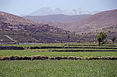 Arequipa, the Countryside (La Campia)